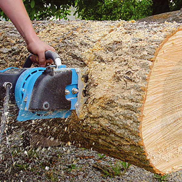 Holzkettensaege-elektrisch-Baum-saegen